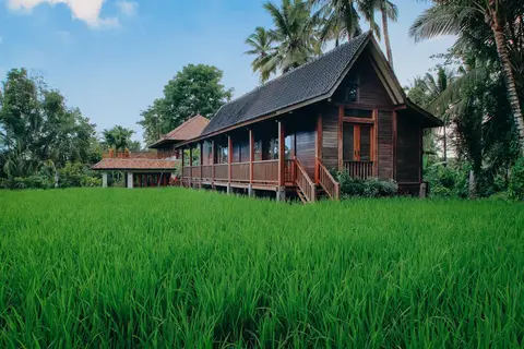 Beingsattvaa in Ubud, Kecamatan Gianyar, Kabupaten Gianyar, Bali, Indonesia — foto 11