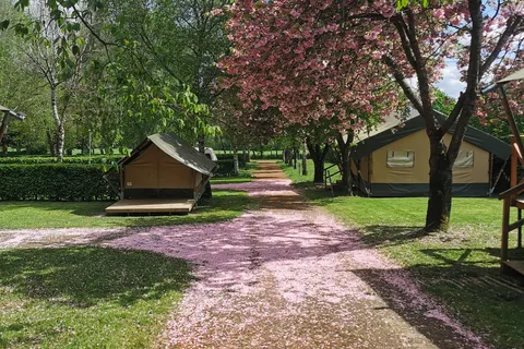 Camping Belle-vue 2000 in Berdorf — foto 9