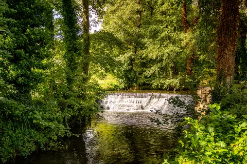 Glamping Resort Namur Nature in Gesves, foto 14