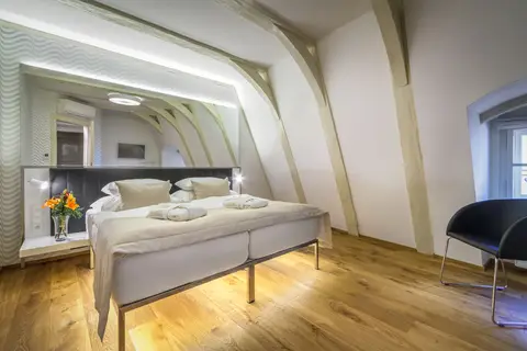 Hotel Golden Star in Praag — foto 26
