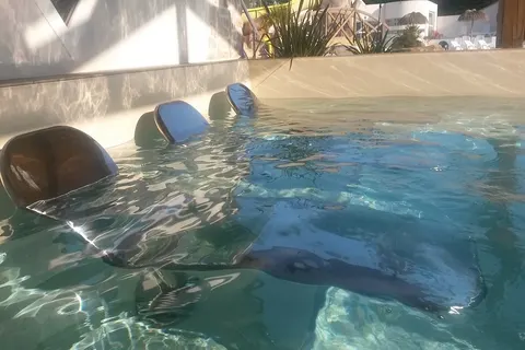 Camping La Yole foto 24