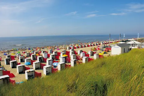 Koningshof in Rijnsburg — foto 39