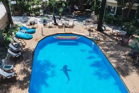 Ionian Paradise in Δημοτική Ενότητα Λευκάδος — foto 16