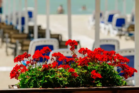 Albanian Star Hotel in Golem — foto 6