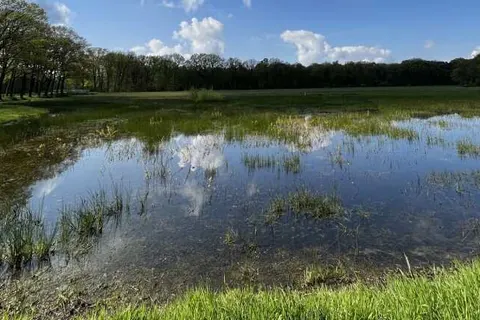 Boetiek Hotel De Roode Leeuw foto 22