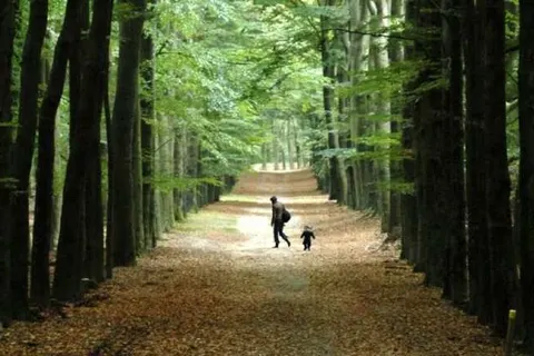 Hotel Krasemann foto 14