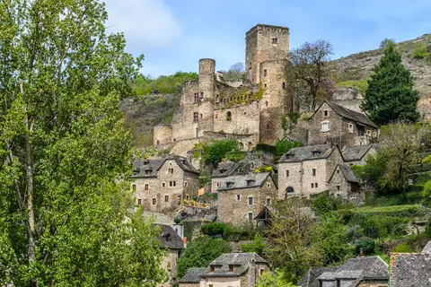 Les Genêts in Salles-Curan — foto 38