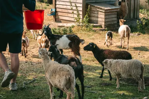 Yelloh Village L Océan Breton in Plobannalec-Lesconil — foto 21