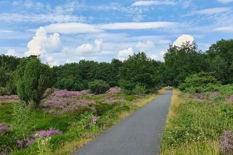 Hotel Martensplek foto 22