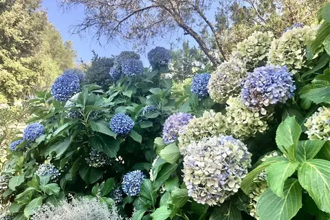 Hotel Relais Valkarana in Sant'antonio Di Gallura — foto 27