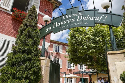 Camping La Grappe Fleurie foto 16