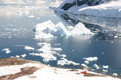 Expeditiecruise Antarctica per m/v Hondius in Cruisereizen — foto 6