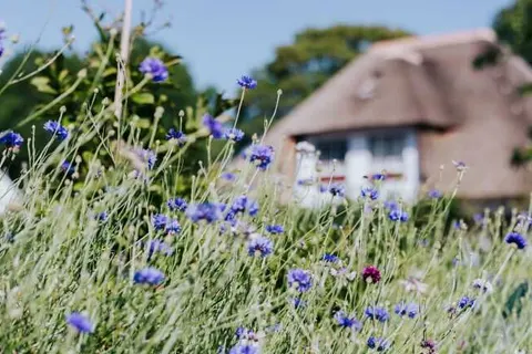 Recreatiepark Het Eperwoud foto 12