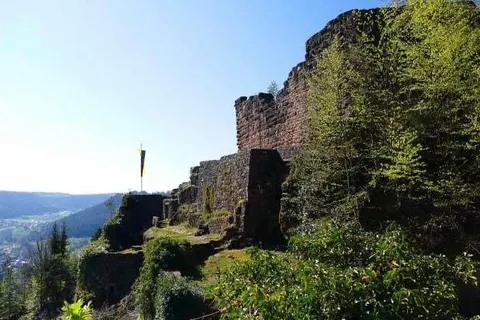 Landhotel Basler Hof foto 17