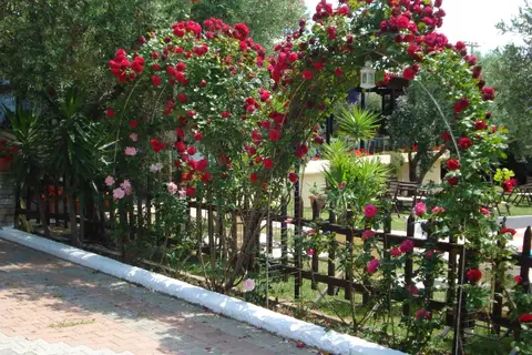 Asteris Village in Γερακινή — foto 21