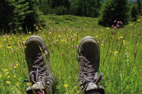 All inclusive door Salzburgerland en Tirol foto 8