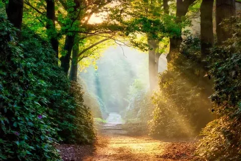 Hotel Huis van Bewaring foto 45