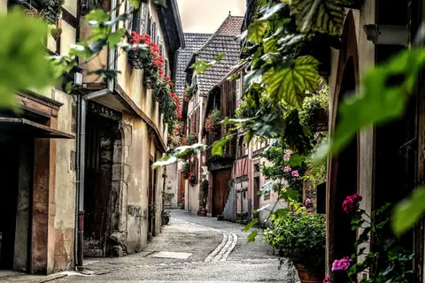 Over de Rijn naar het Franse Straatsburg met mps Serenade 2 in Rijn — foto 17