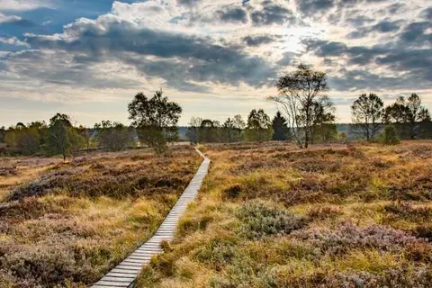 Eurotel Lanaken - Different Hotels foto 19