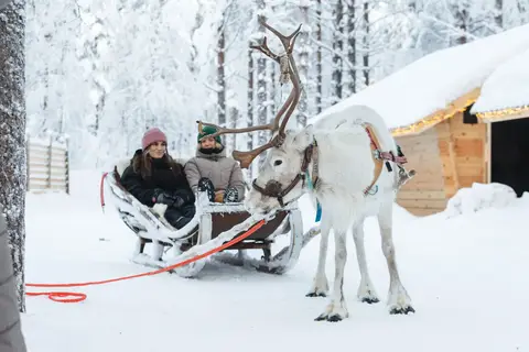 Vaattunki Wilderness Resort in Rovaniemi, foto 4