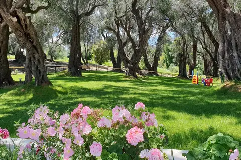 Hotel Yannis Corfu in Ypsos — foto 5