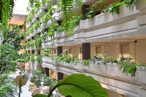 Arona Gran & Spa foto 4