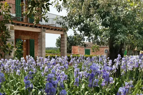 Son Bernadinet in Campos — foto 18