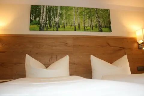 Hotel Garni Birkenhof in Mayrhofen, foto 16
