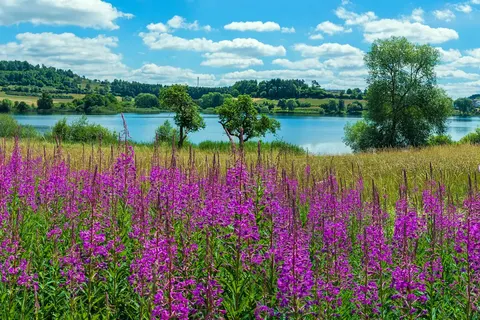 All inclusive in de Eifel, Stadtkyll foto 8