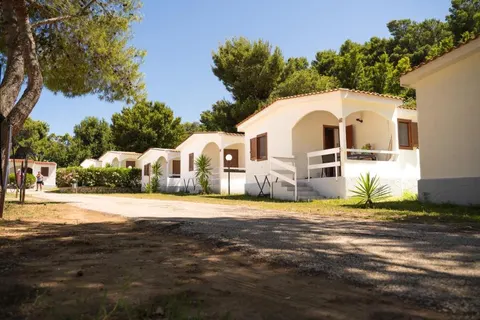 Camping Grotta Dell Acqua foto 18