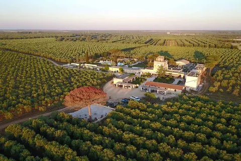 Agriturismo Tenuta Mazzetta foto 1