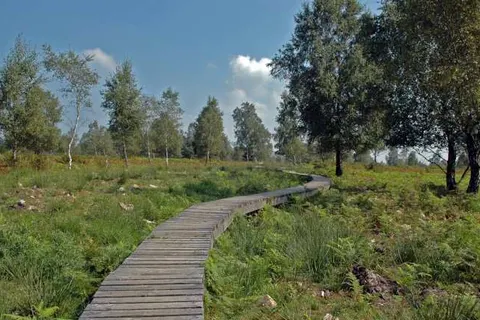 Domaine Moulin d&ampapos;Hotton foto 10