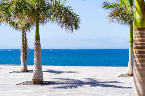 HOVIMA Jardín Caleta foto 20