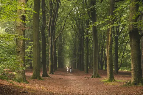 Marinapark Bad Nederrijn in Maurik — foto 12