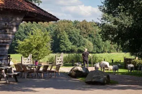 Bed and Breakfast Hoeve Springendal foto 19