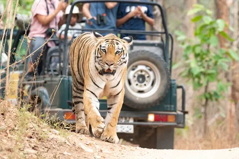 Rondreis Kleurrijk India en Nepal in Rondreizen — foto 12