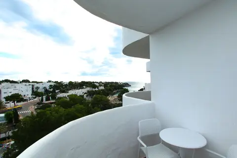 Sentido Fido Tucan in Santanyí — foto 8
