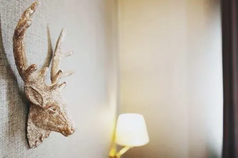 Hotel Sportalm Gipfelglück foto 7