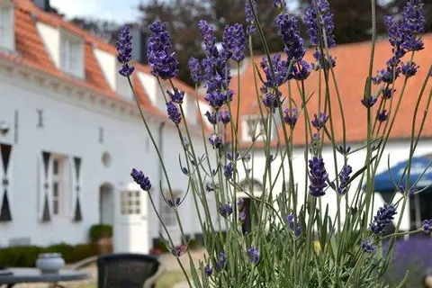 Kasteel Aldenghoor foto 8