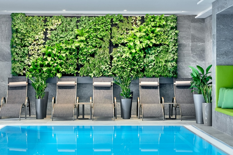 Hotel Ever Grün foto 23