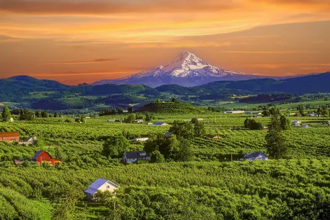 Oregon op het gemak foto 2