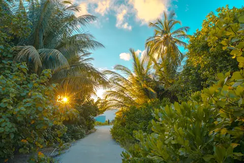 Rahaa Resort Laamu, Maldives in Laamu Atoll, foto 25