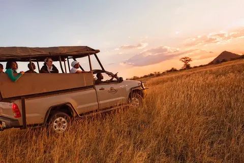 Ultimate Safari Experience - Sefapane Lodge in Pretoria — foto 7