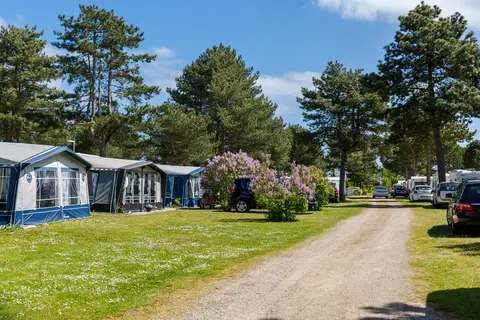 Feddet Strand Resort in Faxe Kommune — foto 10