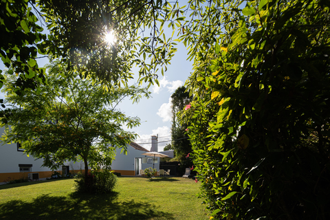 Quinta de São Caetano foto 9