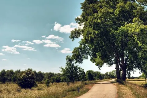 Buitenplaats Kasteel Elsloo foto 26
