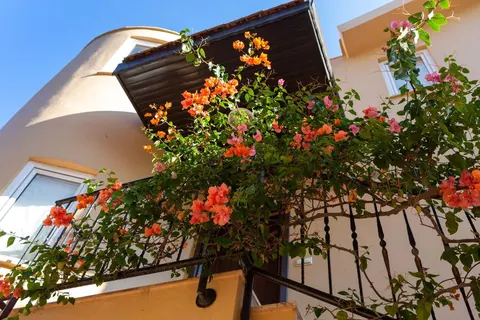 Goldcity Villas foto 8