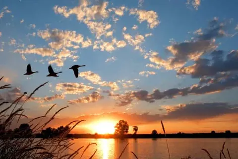 Dormio Water Resort Medemblik foto 7