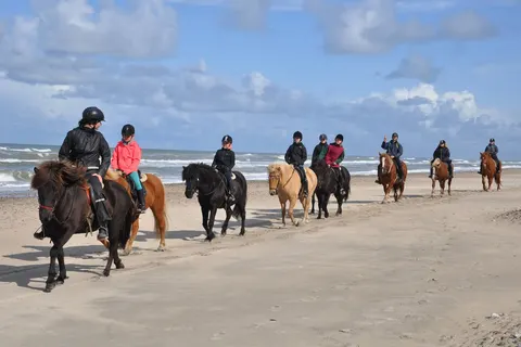 Vakantiepark Skallerup Seaside Resort in Hjørring Municipality — foto 30