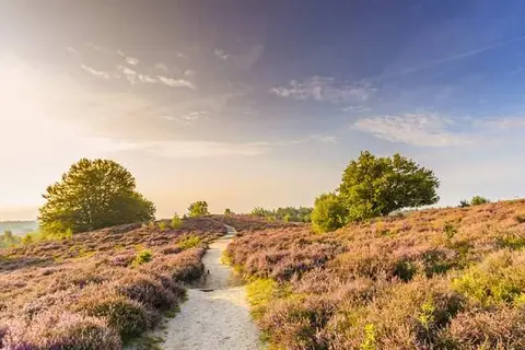 De Lunterse Boer in Lunteren — foto 14